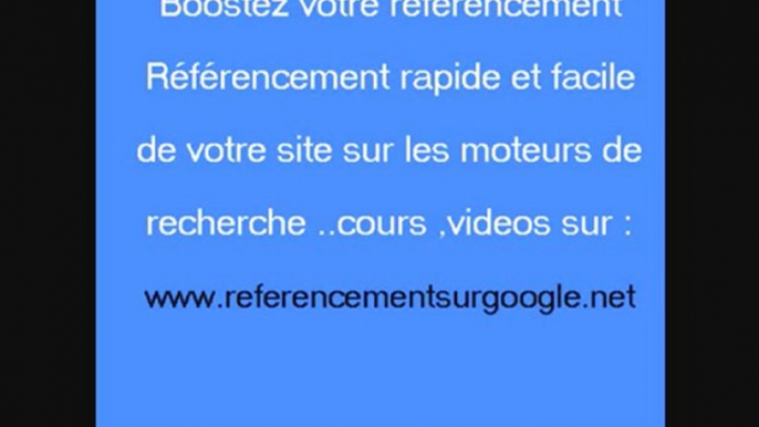 referencement et posotionnement sue les moteurs de recherche