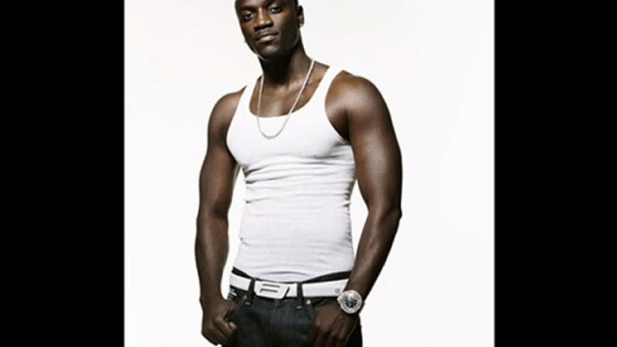 Akon-Party Animal(prod. by David Guetta)