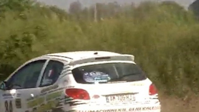 RALLYE MEZIDON 2010