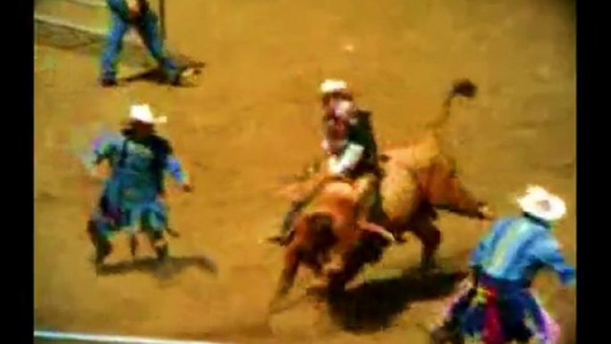 GREAT BULL RIDE