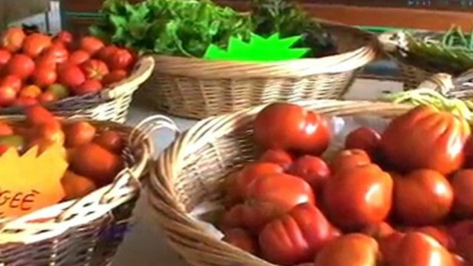 Ferme Gites dans le Périgord en Dordogne