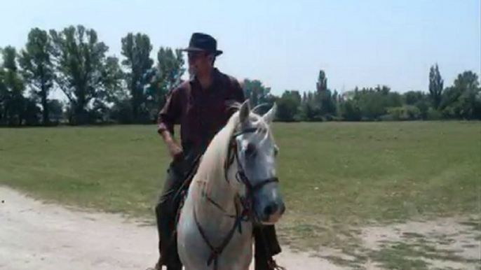 Journée Camargue Arles