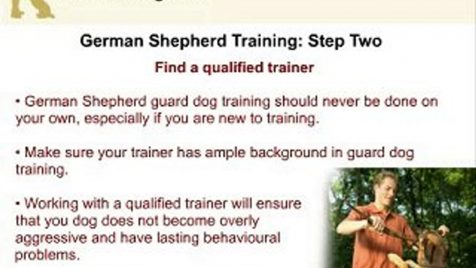 How To Train Your German Shepherd As A Guard Dog