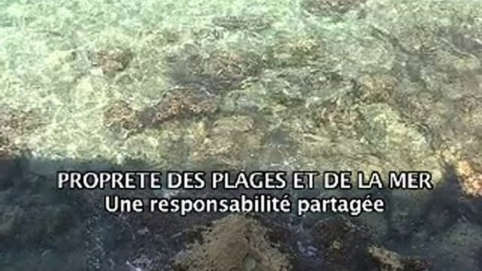 La SERAM vérifie la qualité des eaux de baignade de Marseill