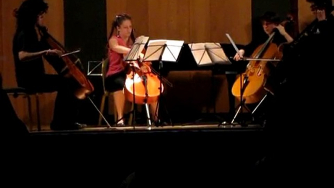 Musique en Baie 2010 : Apocalyptica pour 4 violoncelles 1