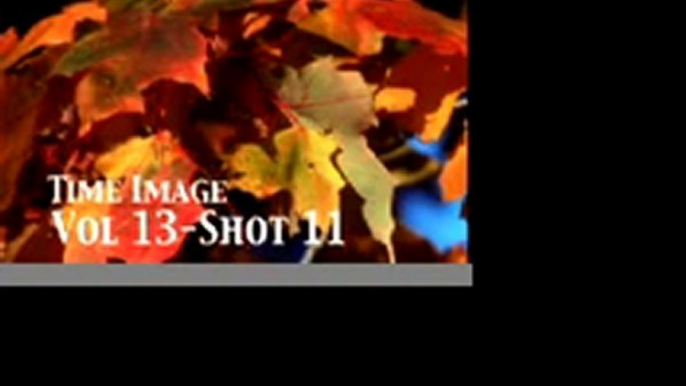 Autumn Stock Footage Vol 13 PublicDomainFootage.com