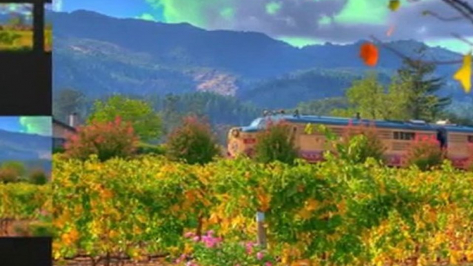 Sonoma County Wine Tours | Sonoma Wine Tasting Tours Napa