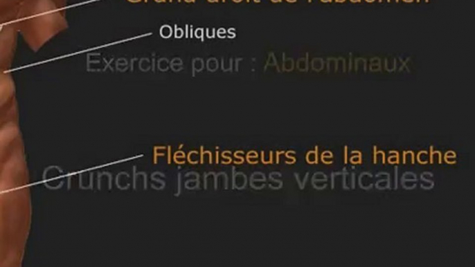 Exercice pour les abdos : crunchs jambes verticales