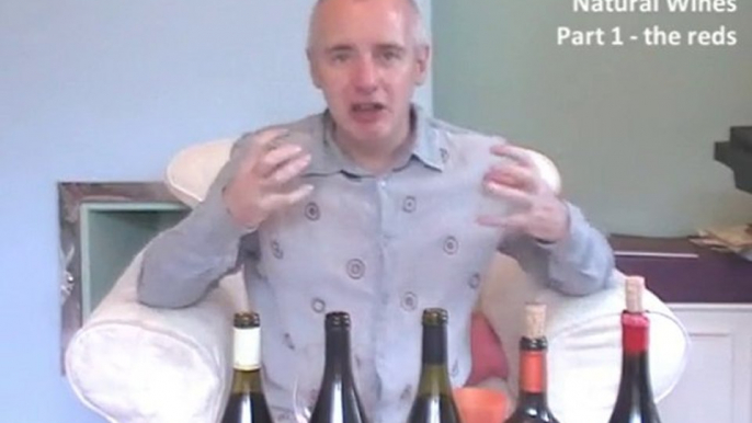 Simon Woods Wine Videos: Natural Wines - Reds