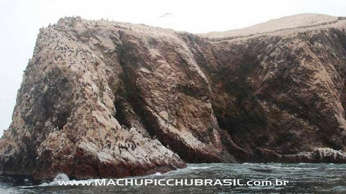 Paracas 3 l Machu Picchu Brasil