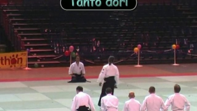 2010.12.04 - Halle Carpentier - Mitsurukaï - Aïkibudo Kobudo