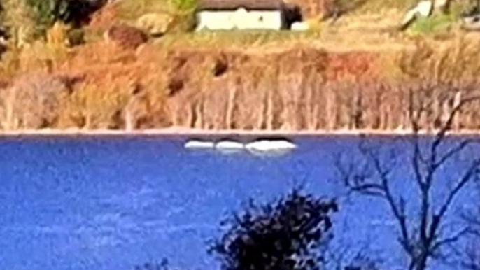 New Loch Ness Sighting, Nov 26 2010, Robert Preston