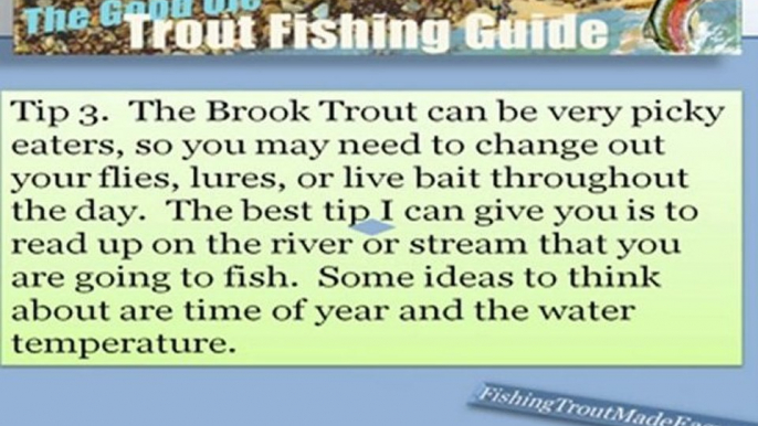 Facts About Great Brook Trout Fishing