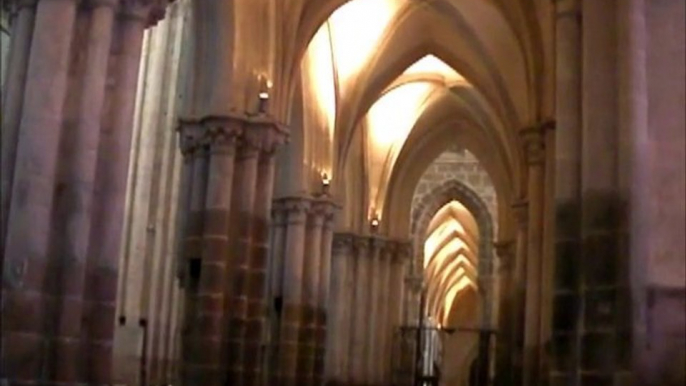 Cathédrale st Samson de Dol-de-Bretagne/ St Samson cathedral