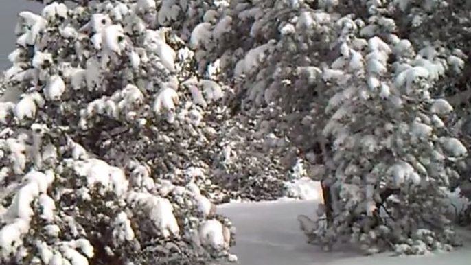 Neige au plateau de beille