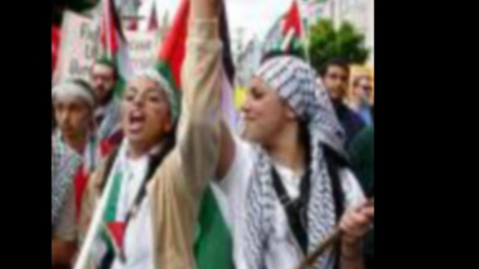 Chanson pour la Palestine  song for palestine  reggae  sionisme