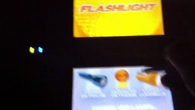 Flashlight pour Nintendo DSI