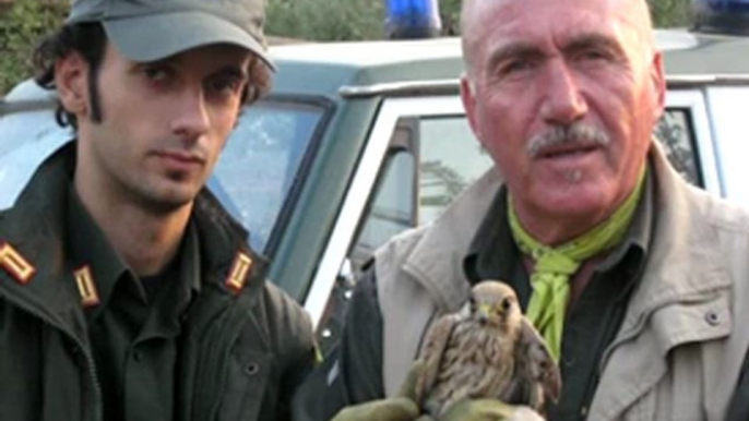 ANDRIA. Un falco salvato dalle Guardie Federiciane