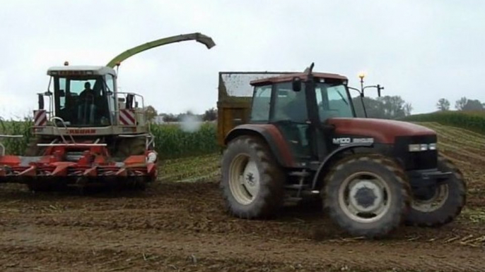 Ensilage maïs 2010 (n°3) - Maïs silage 2010 (n°3)