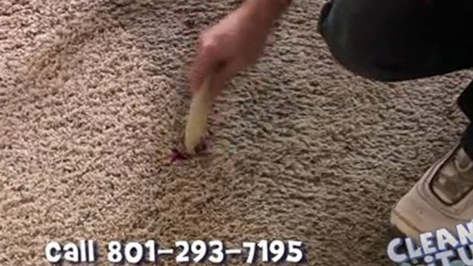 Carpet Cleaners Salt Lake City - Removing Red Stains From Carpet and Rugs