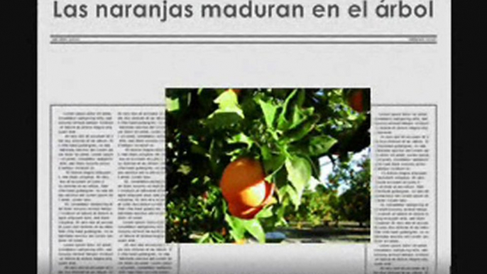 Razones para comprar naranjas del agricultor. Naranjas onlin