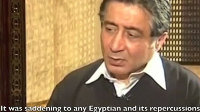 Mubarak Ally Ahmed Ezz Condemns Attacks on Egyptian Protesters in Tahrir Square