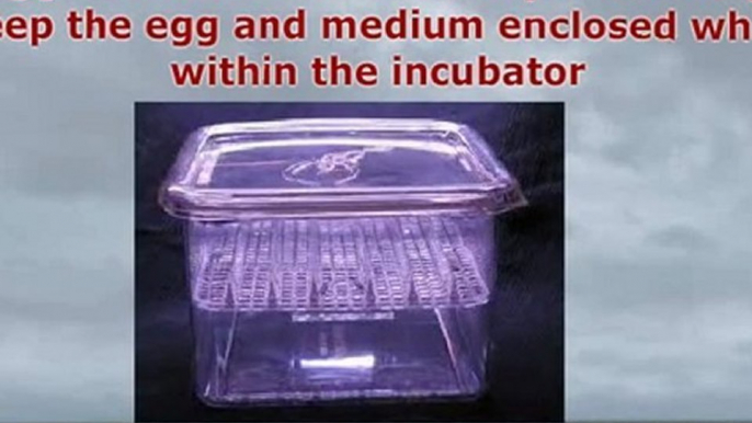 Reptile Egg Incubators