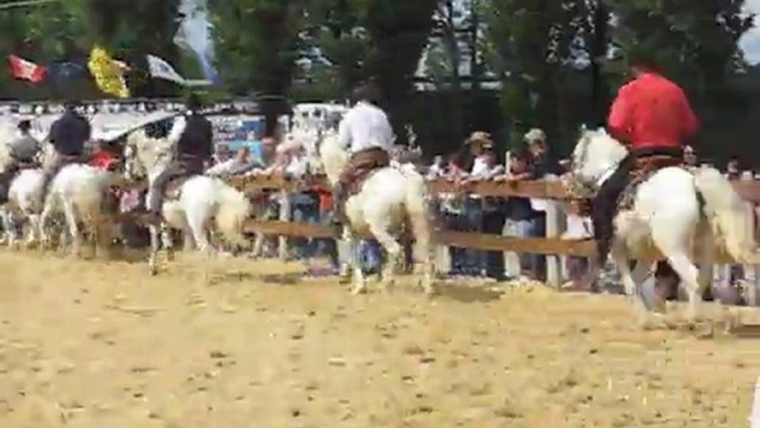 Camarguais du Vexin... Salut 1