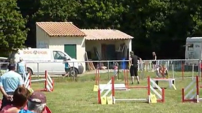 Brownie - SPGF Avignon - 1er parcours Agility