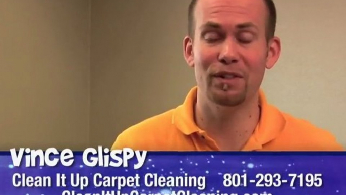 Carpet Cleaning Salt Lake City - Removing Carpet Stains Yourself