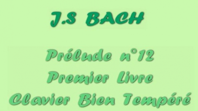 Bach - Prélude n°12 Clavier Bien Tempéré