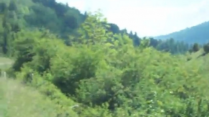 Haut Bugey chants d'oiseaux et vue panoramique Jura Trézillieux