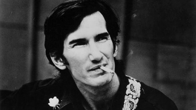 Townes Van Zandt - The Hole