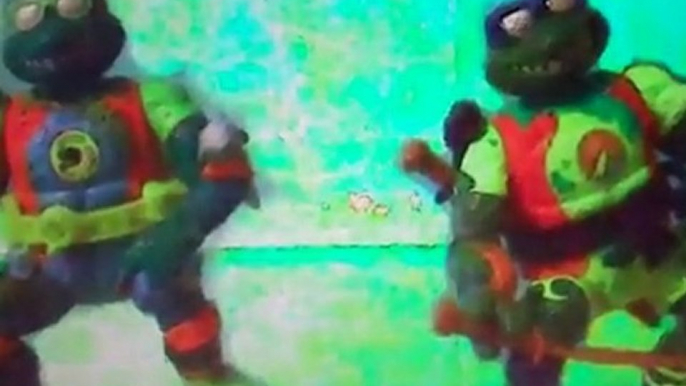 Ninja Turtles go to Hawaii