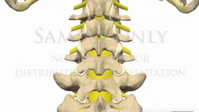 Lumbar Spine Movement Inter-vertebral Rotation chiropractry animations