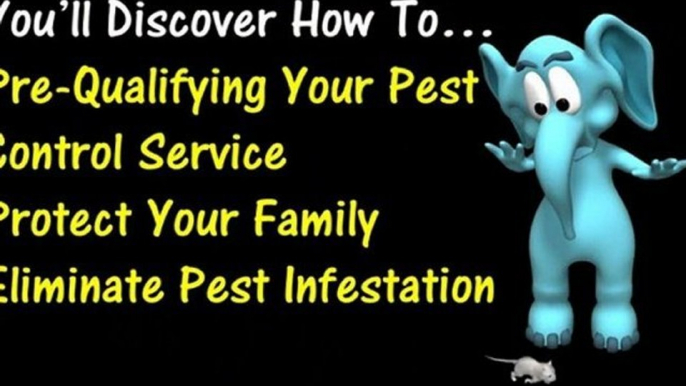 Best Tampa FL Pest Control and Tampa Termite & Pest Control