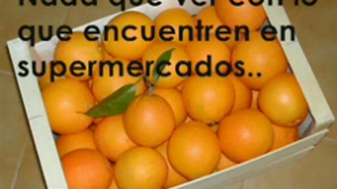 Naranjas online. Las naranjas mas frescas