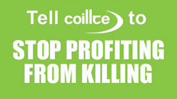 Coillte - Stop Profiting From Killing