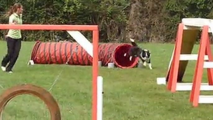 Engie premier concours d'agility (1er degré)