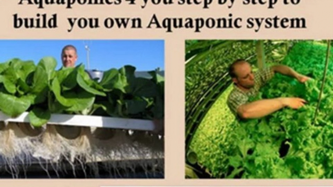 homemade hydroponics - hydroponics how to - homegrown hydroponics