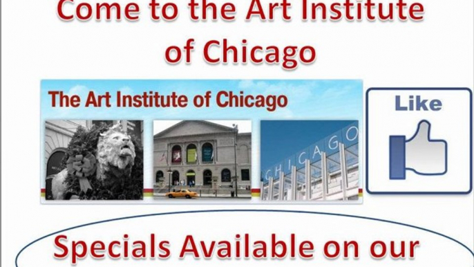 The Art Institute of Chicago- best chicago musuem- for more information call (312) 443-3600