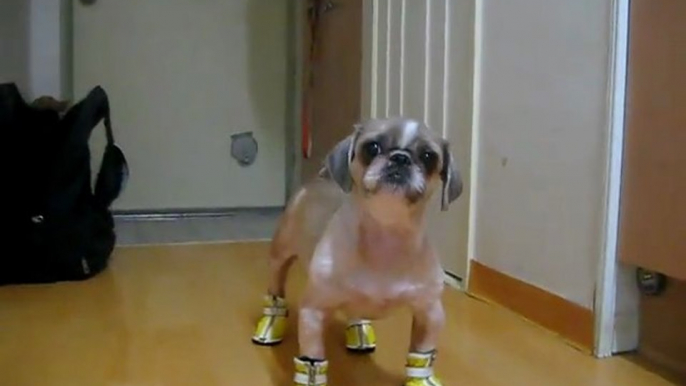 Booba and his yellow shoes