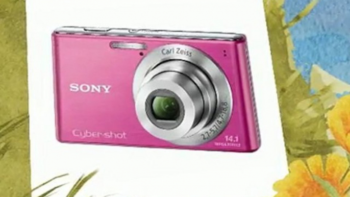 Sony Cyber-Shot DSC-W530 14.1 MP Digital Still Camera ...