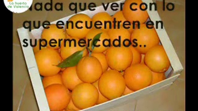 Venta de naranjas a domicilio de la huerta