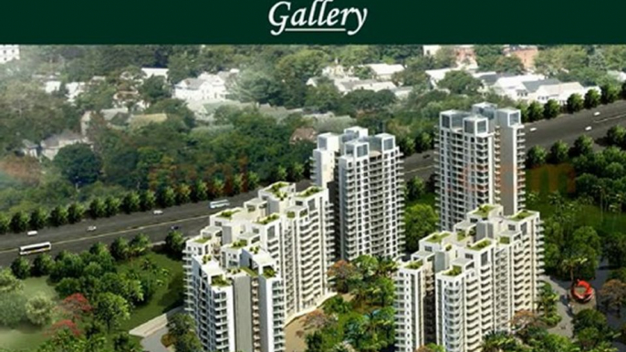 M3M Milano Gurgaon +91 9811 999 666 M3M Milano Sector 70a gurgaon