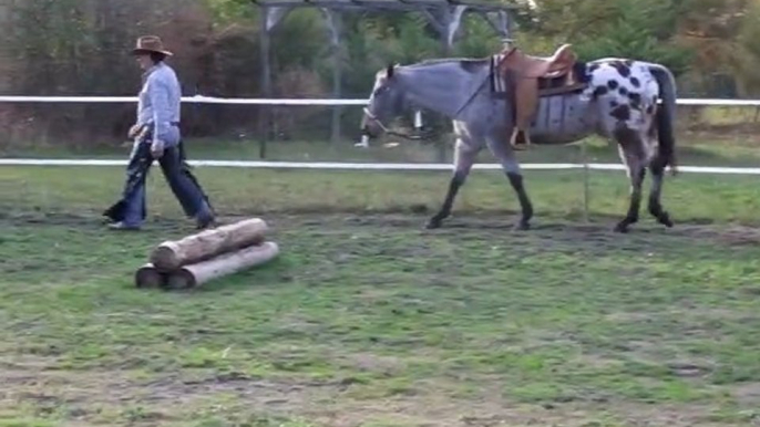 Equitation americaine par l'équithologie au ranch tinkapalo  par  Tony Clemenceau " HORSEMAN "