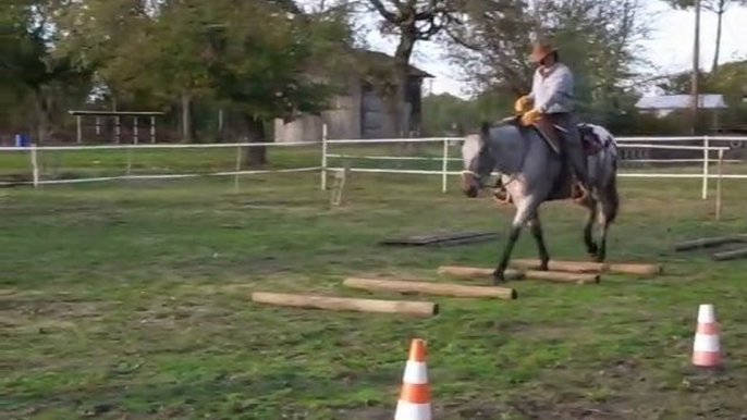 Equitation americaine par l'équithologie. EDUCATION AU  TRAIL  AVEC BOSAL SUR JEUNE CHEVAL  APPALOOSA  au ranch tinkapalo  par  Tony Clemenceau " HORSEMAN "