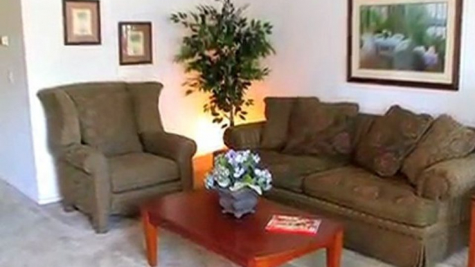 Brandywine Apartments in Saint Petersburg, FL - ForRent.com