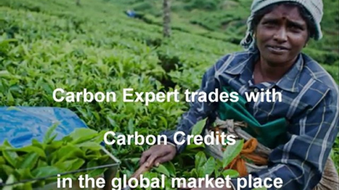 Carbon Expert - Carbon Credits & Emissions Trading