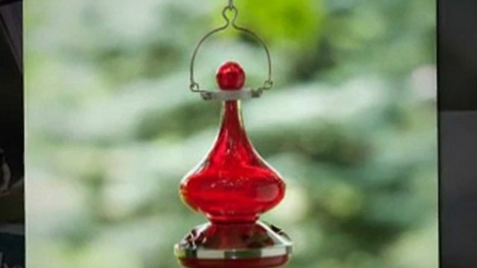 Hummingbird Feeders